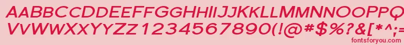Florsn31 Font – Red Fonts on Pink Background