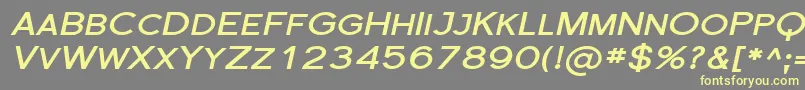 Florsn31 Font – Yellow Fonts on Gray Background