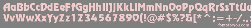 RevueTl Font – Pink Fonts on Gray Background