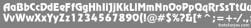 RevueTl Font – White Fonts on Gray Background