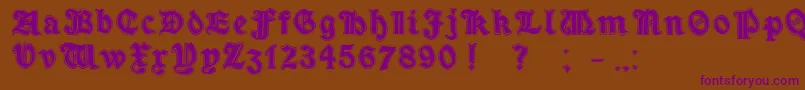 MinimOutlineExtrabold Font – Purple Fonts on Brown Background