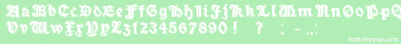 MinimOutlineExtrabold Font – White Fonts on Green Background