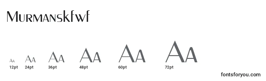 Размеры шрифта Murmanskfwf