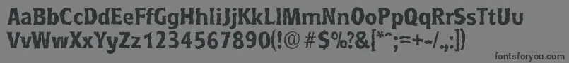 RoundestrandomBold Font – Black Fonts on Gray Background