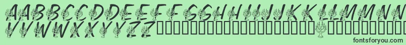 LmsFestivalOfLights Font – Black Fonts on Green Background