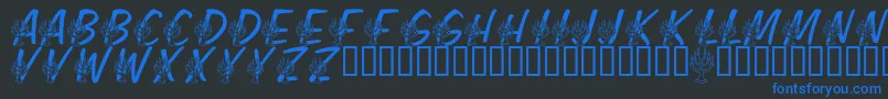 LmsFestivalOfLights Font – Blue Fonts on Black Background