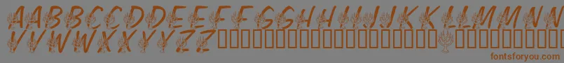 LmsFestivalOfLights Font – Brown Fonts on Gray Background