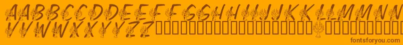 LmsFestivalOfLights Font – Brown Fonts on Orange Background