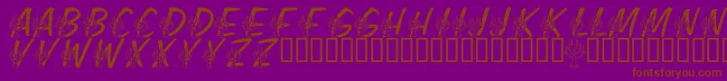 LmsFestivalOfLights Font – Brown Fonts on Purple Background