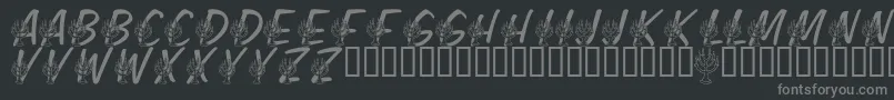 LmsFestivalOfLights Font – Gray Fonts on Black Background