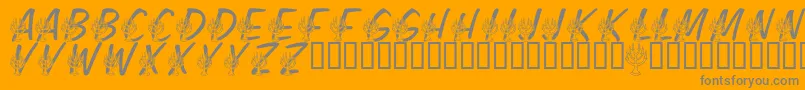 LmsFestivalOfLights Font – Gray Fonts on Orange Background