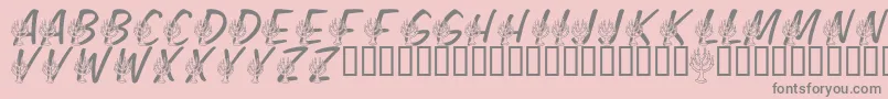 LmsFestivalOfLights Font – Gray Fonts on Pink Background