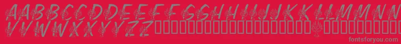 LmsFestivalOfLights Font – Gray Fonts on Red Background