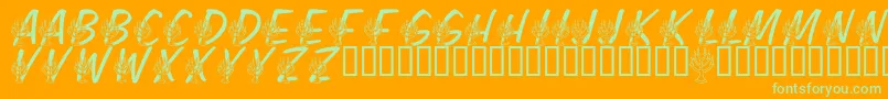 LmsFestivalOfLights Font – Green Fonts on Orange Background