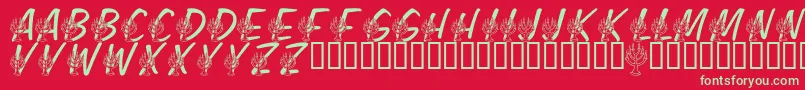 LmsFestivalOfLights Font – Green Fonts on Red Background