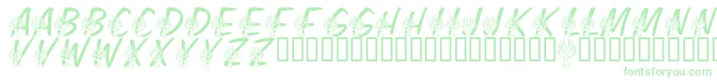 LmsFestivalOfLights Font – Green Fonts