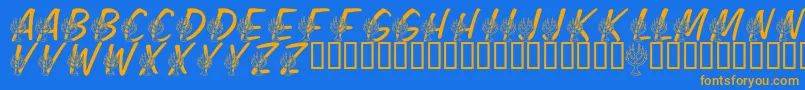 LmsFestivalOfLights Font – Orange Fonts on Blue Background