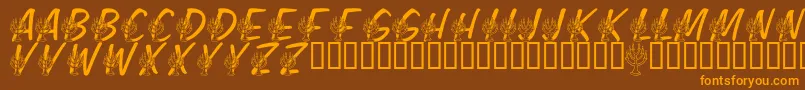 LmsFestivalOfLights Font – Orange Fonts on Brown Background