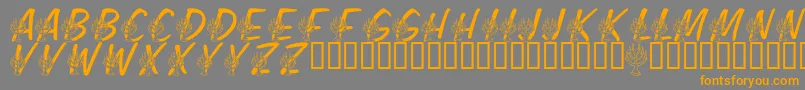 LmsFestivalOfLights Font – Orange Fonts on Gray Background