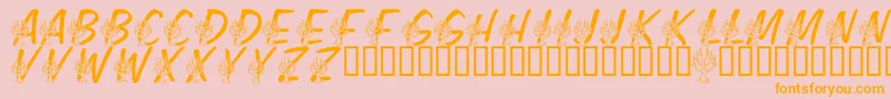 LmsFestivalOfLights Font – Orange Fonts on Pink Background