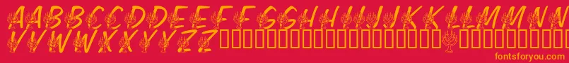 LmsFestivalOfLights Font – Orange Fonts on Red Background