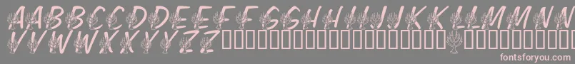 LmsFestivalOfLights-Schriftart – Rosa Schriften auf grauem Hintergrund