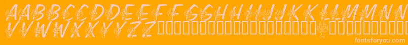 LmsFestivalOfLights Font – Pink Fonts on Orange Background