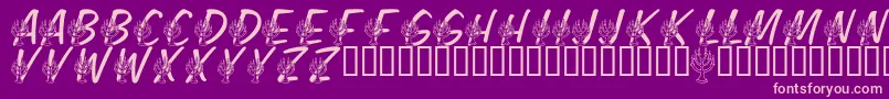 LmsFestivalOfLights Font – Pink Fonts on Purple Background