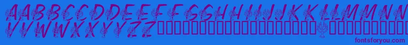LmsFestivalOfLights Font – Purple Fonts on Blue Background