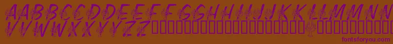 LmsFestivalOfLights Font – Purple Fonts on Brown Background