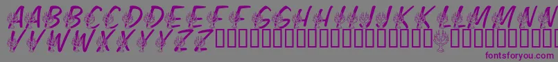LmsFestivalOfLights Font – Purple Fonts on Gray Background