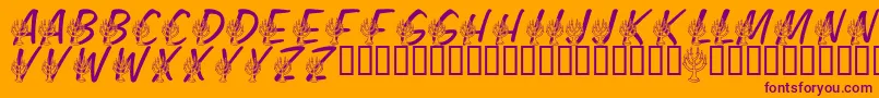 LmsFestivalOfLights Font – Purple Fonts on Orange Background