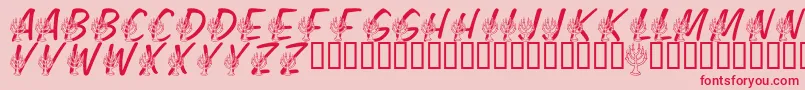 LmsFestivalOfLights Font – Red Fonts on Pink Background