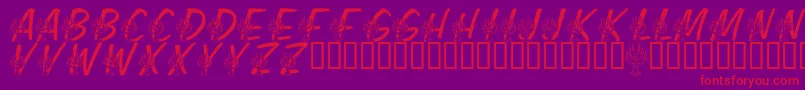 LmsFestivalOfLights Font – Red Fonts on Purple Background