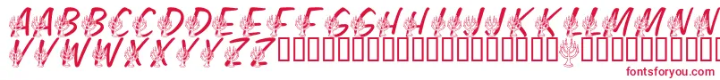 LmsFestivalOfLights Font – Red Fonts on White Background