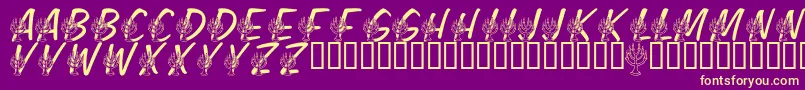 LmsFestivalOfLights Font – Yellow Fonts on Purple Background
