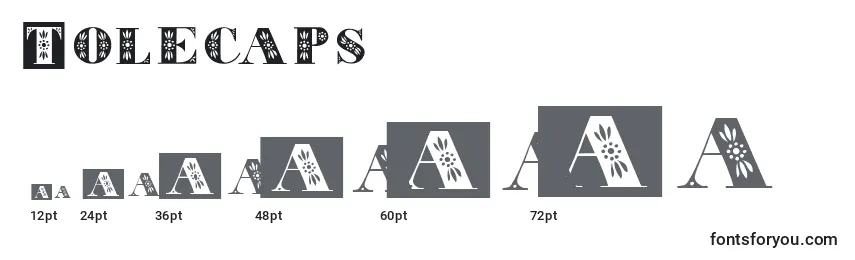Размеры шрифта Tolecaps