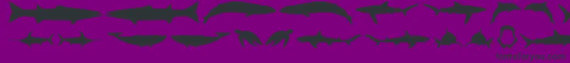 Gots-fontti – mustat fontit violetilla taustalla