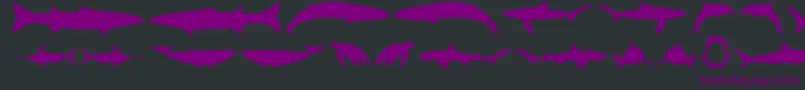 Gots Font – Purple Fonts on Black Background