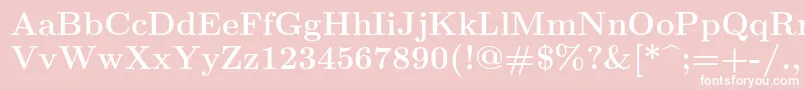 フォントLmroman12Bold – ピンクの背景に白い文字