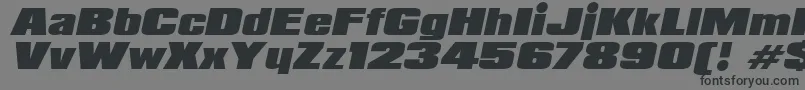 フォントPadalomaItalic – 黒い文字の灰色の背景