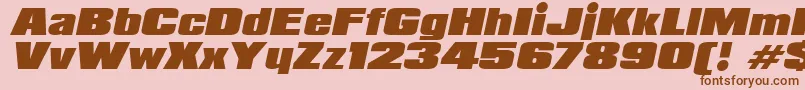 PadalomaItalic Font – Brown Fonts on Pink Background