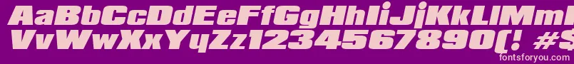 PadalomaItalic Font – Pink Fonts on Purple Background