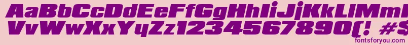 PadalomaItalic Font – Purple Fonts on Pink Background