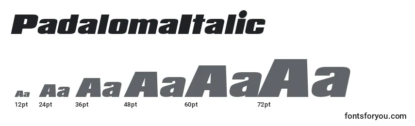 Размеры шрифта PadalomaItalic
