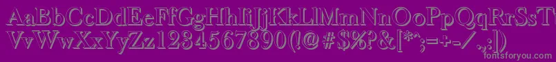 BaskeroldshadowMediumRegular Font – Gray Fonts on Purple Background