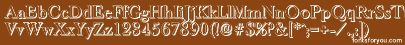 BaskeroldshadowMediumRegular Font – White Fonts on Brown Background