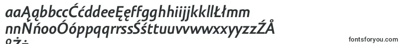 AmorSansProBoldItalic Font – Polish Fonts
