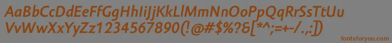 フォントAmorSansProBoldItalic – 茶色の文字が灰色の背景にあります。