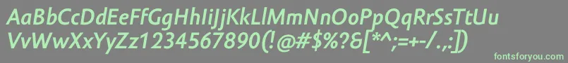 フォントAmorSansProBoldItalic – 灰色の背景に緑のフォント